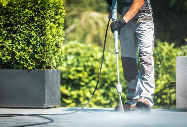 Best Solar Panel Cleaning  in Monmouth Junction, NJ