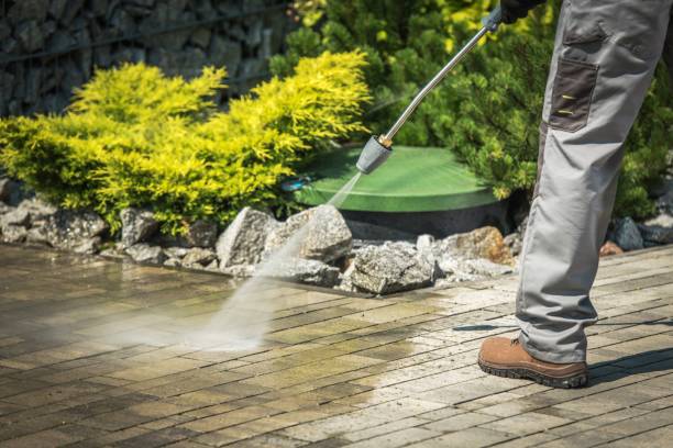 Best Roof Washing  in Monmouth Junction, NJ