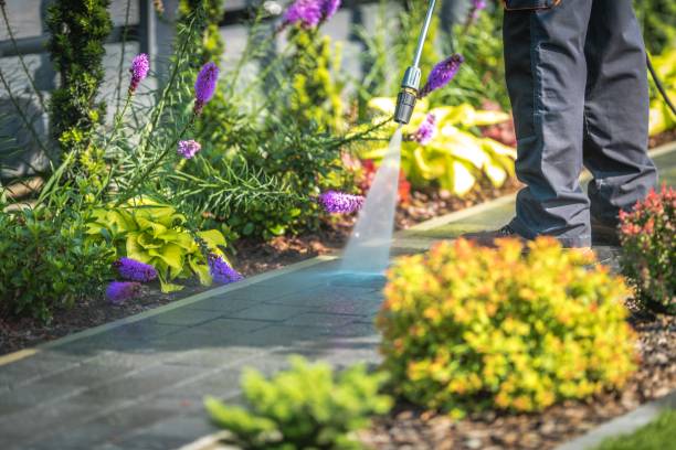 Best Dumpster Area Cleaning  in Monmouth Junction, NJ